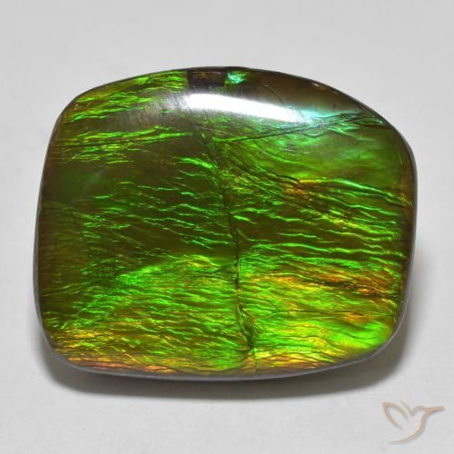 18.23ct 天然 彩色 菊石, 花式切割, 不透明