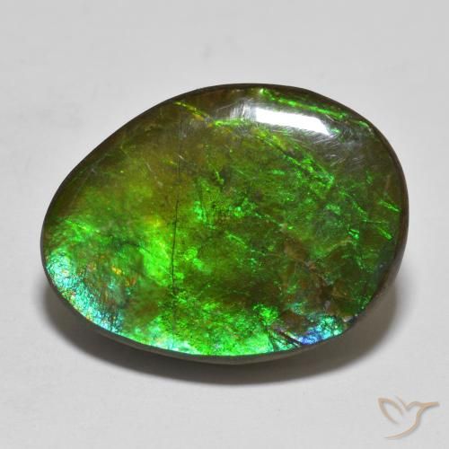 16.14ct 天然 彩色 菊石, 花式切割, 不透明