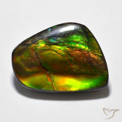 16.94ct 天然 彩色 菊石, 花式切割, 不透明