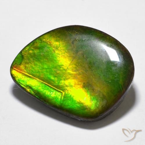 11.97ct 天然 彩色 菊石, 花式切割, 不透明