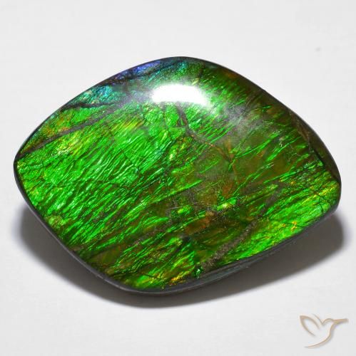 14.32ct 天然 彩色 菊石, 花式切割, 不透明