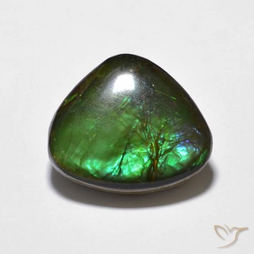 10.69ct 天然 彩色 菊石, 花式切割, 不透明
