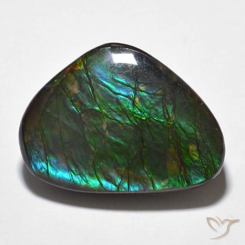 14.68ct 天然 彩色 菊石, 花式切割, 不透明