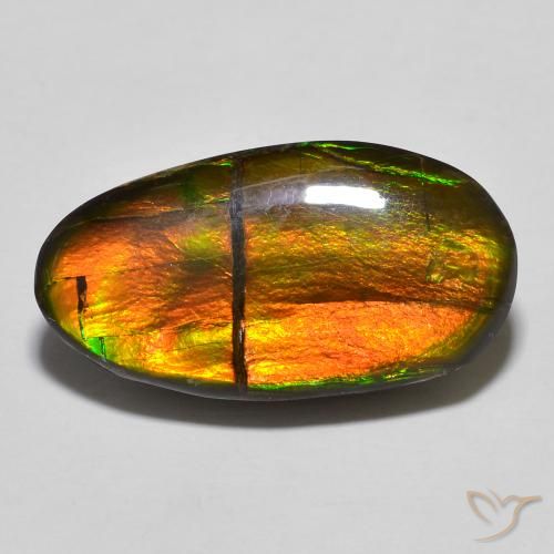 11.32ct 天然 彩色 菊石, 花式切割, 不透明