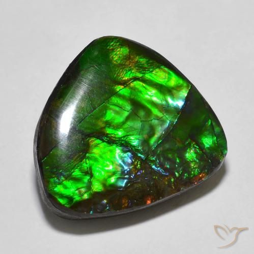 13.78ct 天然 彩色 菊石, 花式切割, 不透明