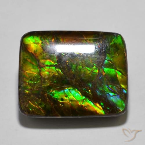 16.01ct 天然 彩色 菊石, 软垫, 不透明