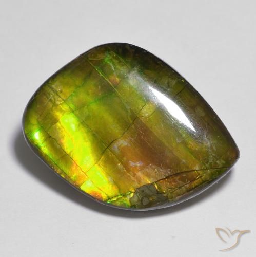15.05ct 天然 彩色 菊石, 花式切割, 不透明