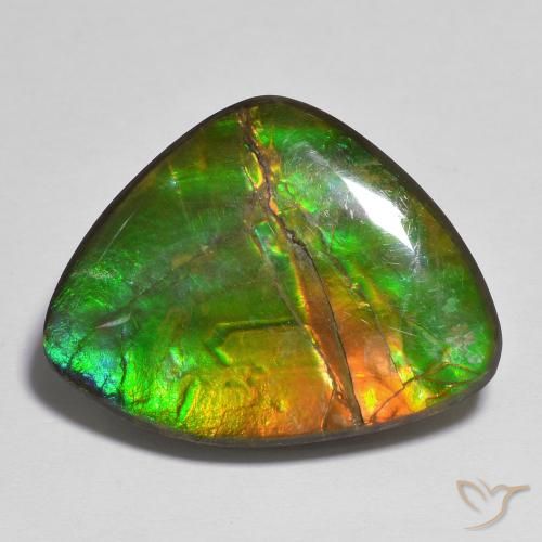 17.37ct 天然 彩色 菊石, 花式切割, 不透明