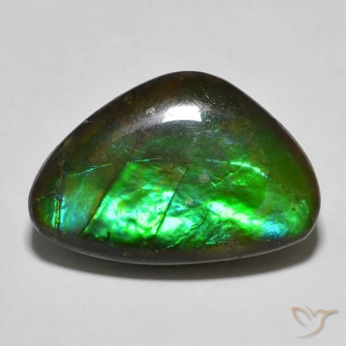 13.27ct 天然 彩色 菊石, 花式切割, 不透明