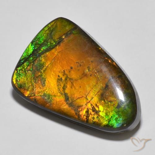 16.68ct 天然 彩色 菊石, 花式切割, 不透明
