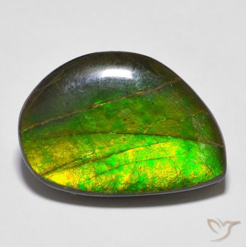 16.43ct 天然 彩色 菊石, 花式切割, 不透明