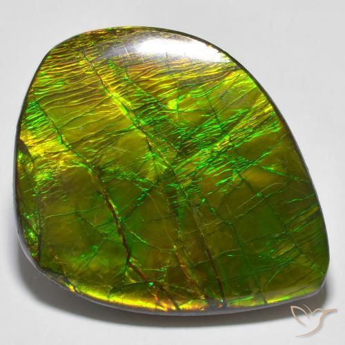 24.62ct 天然 彩色 菊石, 花式切割, 不透明