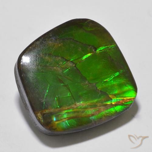 13.53ct 天然 彩色 菊石, 花式切割, 不透明