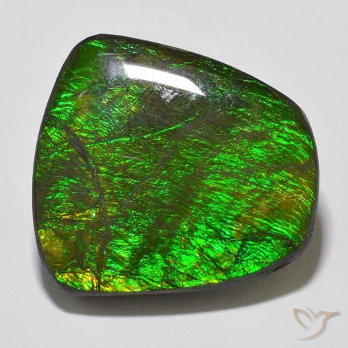 18.43ct 天然 彩色 菊石, 花式切割, 不透明