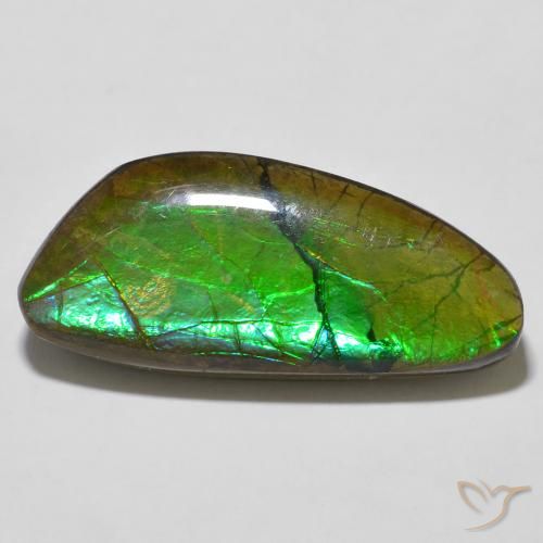 12.56ct 天然 彩色 菊石, 花式切割, 不透明