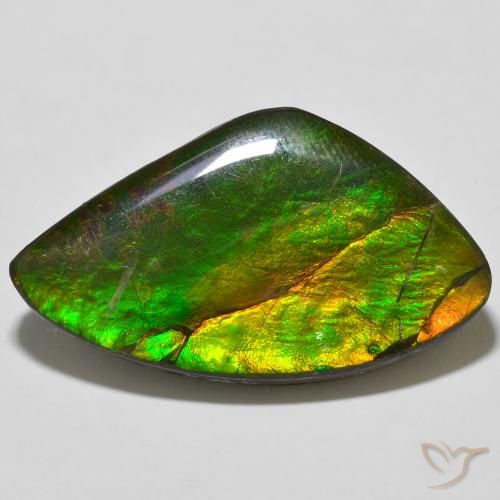 23.11ct 天然 彩色 菊石, 花式切割, 不透明