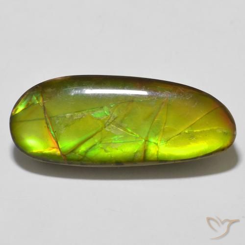 14.67ct 天然 彩色 菊石, 花式切割, 不透明