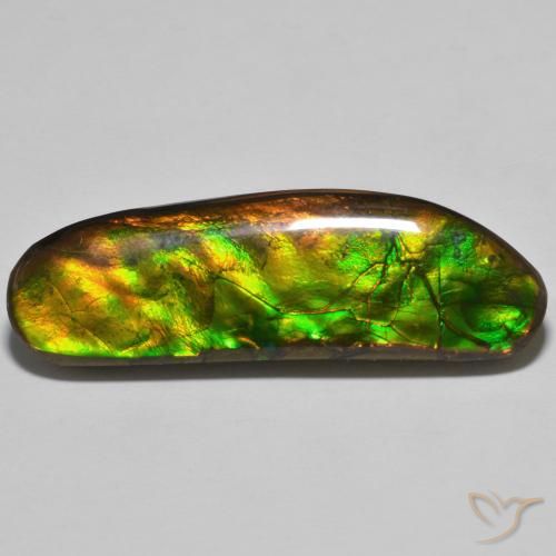 23.11ct 天然 彩色 菊石, 花式切割, 不透明