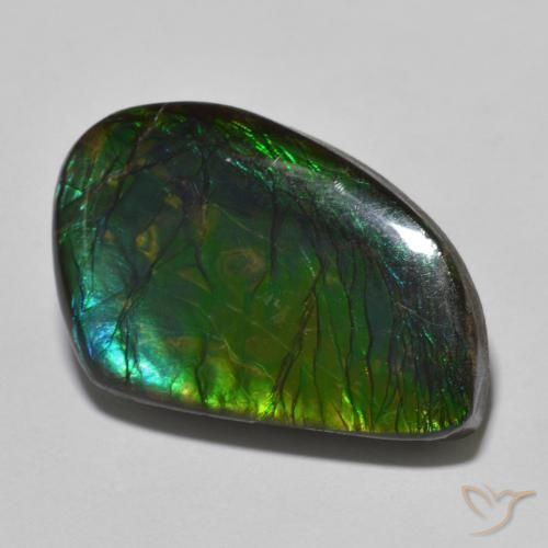 21.44ct 天然 彩色 菊石, 花式切割, 不透明
