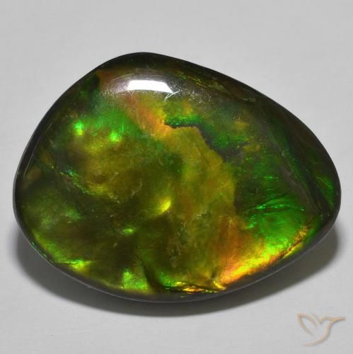 22.15ct 天然 彩色 菊石, 花式切割, 不透明