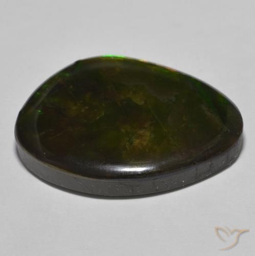 22.15克拉天然菊石，花式切割，不透明