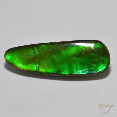 17.83ct 天然 彩色 菊石, 花式切割, 不透明