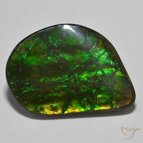 21.40ct 天然 彩色 菊石, 花式切割, 不透明