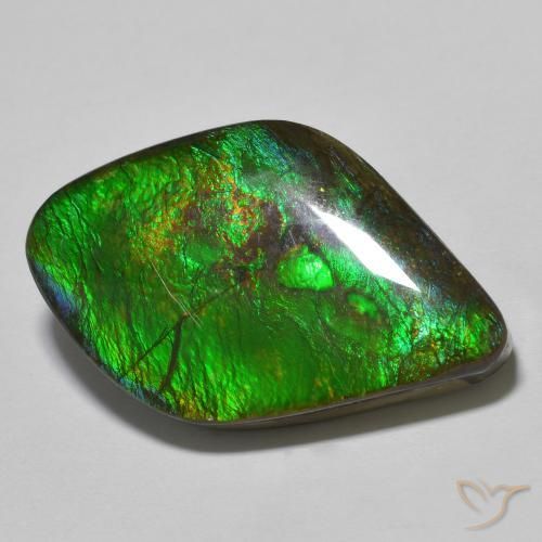 19.69ct 天然 彩色 菊石, 花式切割, 不透明