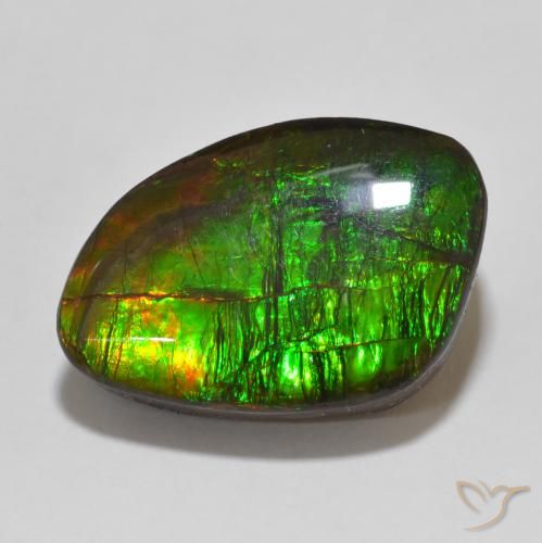 13.47ct 天然 彩色 菊石, 花式切割, 不透明