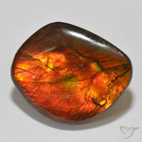15.32ct 天然 彩色 菊石, 花式切割, 不透明