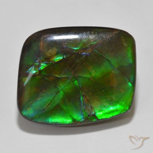 14.81ct 天然 彩色 菊石, 花式切割, 不透明