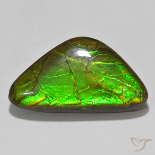 15.46ct 天然 彩色 菊石, 花式切割, 不透明
