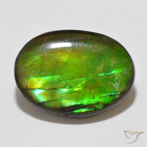 12.26ct 天然 彩色 菊石, 椭圆形, 不透明