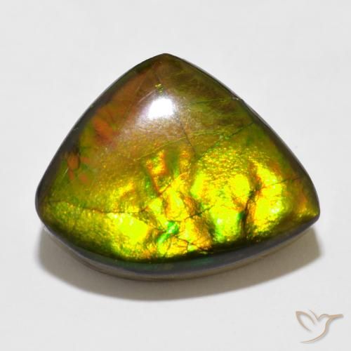 11.47ct 天然 彩色 菊石, 花式切割, 不透明