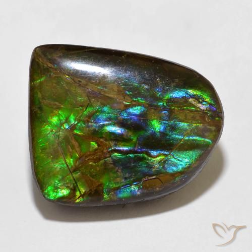 15.49ct 天然 彩色 菊石, 花式切割, 不透明
