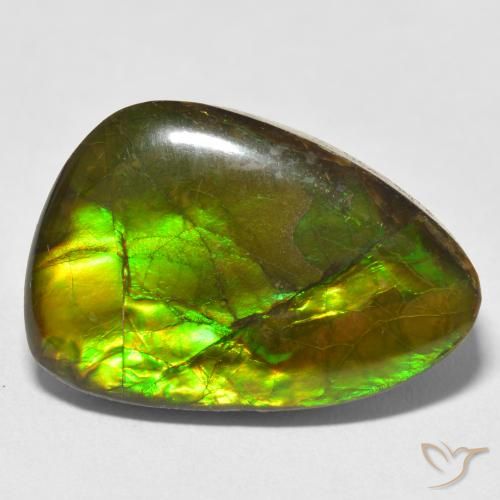 17.22ct 天然 彩色 菊石, 花式切割, 不透明
