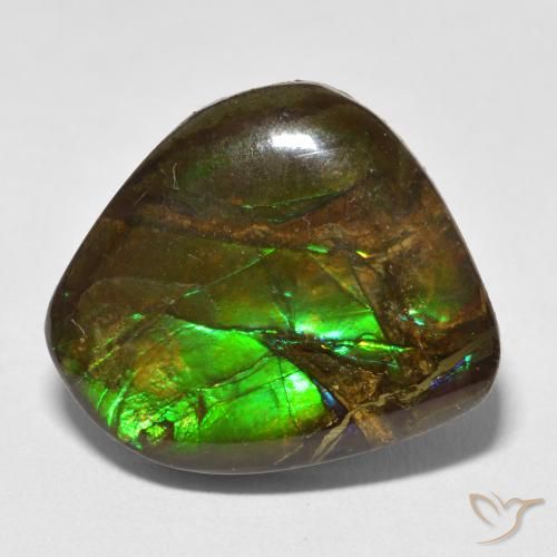 13.52ct 天然 彩色 菊石, 花式切割, 不透明