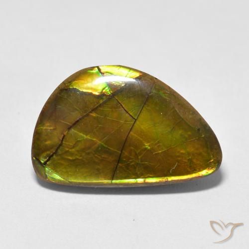 11.63ct 天然 彩色 菊石, 花式切割, 不透明