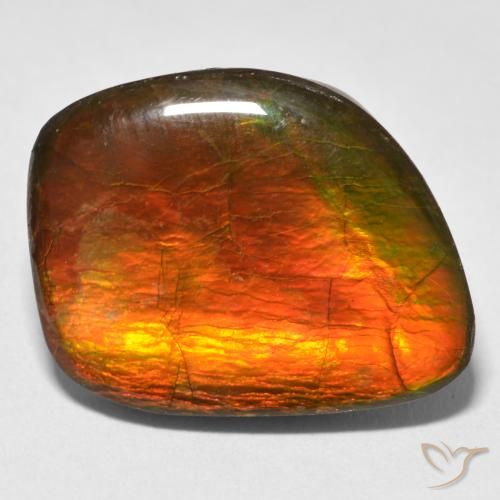 15.38ct 天然 彩色 菊石, 花式切割, 不透明