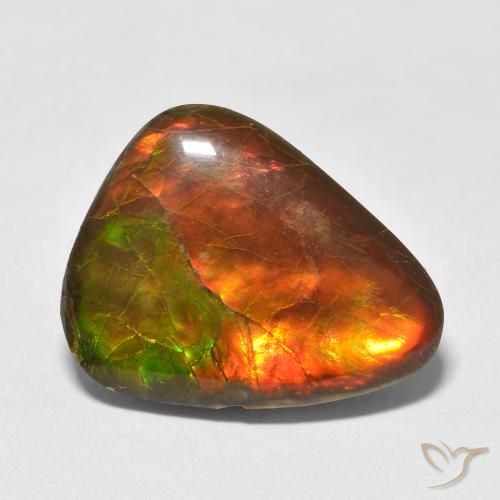13.25ct 天然 彩色 菊石, 花式切割, 不透明
