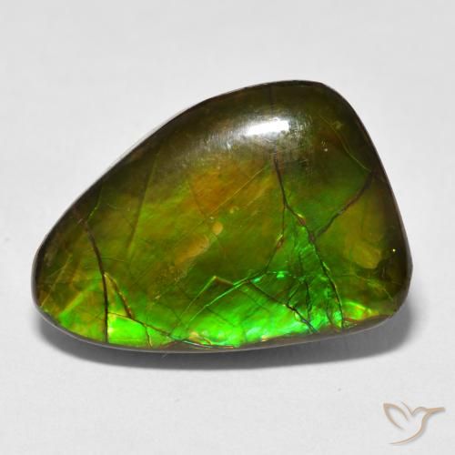 13.40ct 天然 彩色 菊石, 花式切割, 不透明