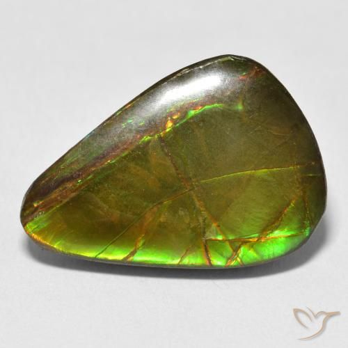 11.59ct 天然 彩色 菊石, 梨形, 不透明