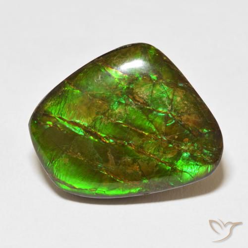 18.11ct 天然 彩色 菊石, 花式切割, 不透明