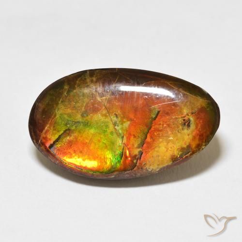 15.62ct 天然 彩色 菊石, 花式切割, 不透明