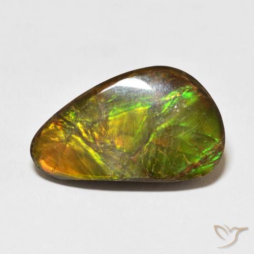14.61ct 天然 彩色 菊石, 花式切割, 不透明