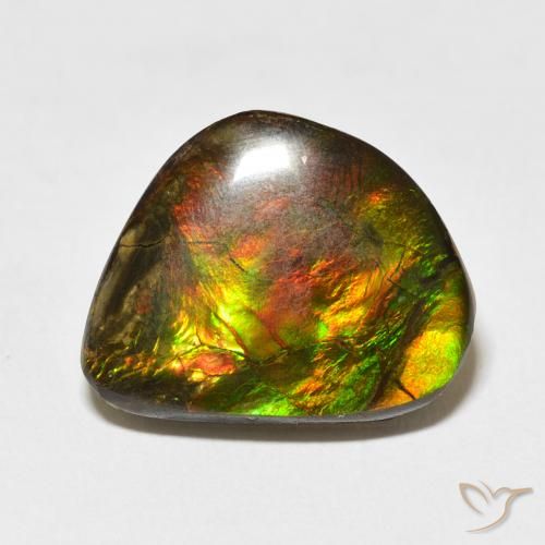 11.60ct 天然 彩色 菊石, 花式切割, 不透明