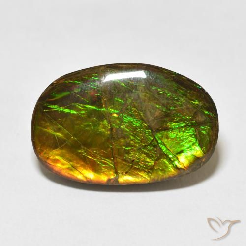16.55ct 天然 彩色 菊石, 花式切割, 不透明