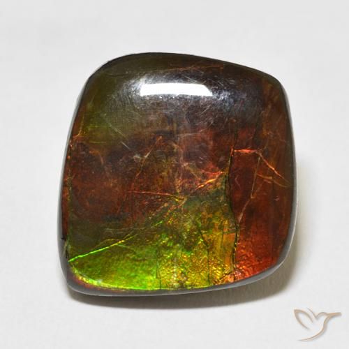 11.81ct 天然 彩色 菊石, 花式切割, 不透明