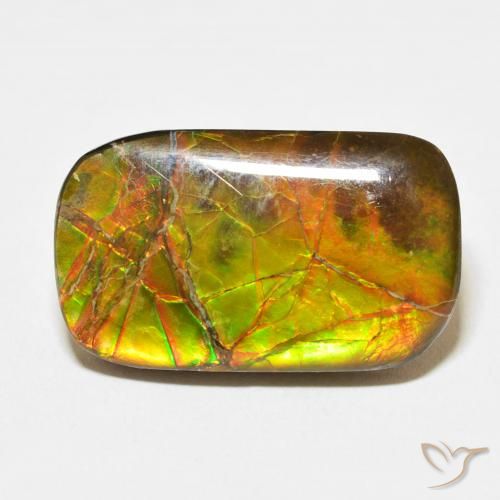 16.23ct 天然 彩色 菊石, 软垫, 不透明
