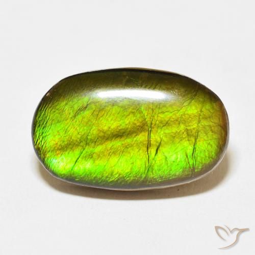 13.74ct 天然 彩色 菊石, 椭圆形, 不透明